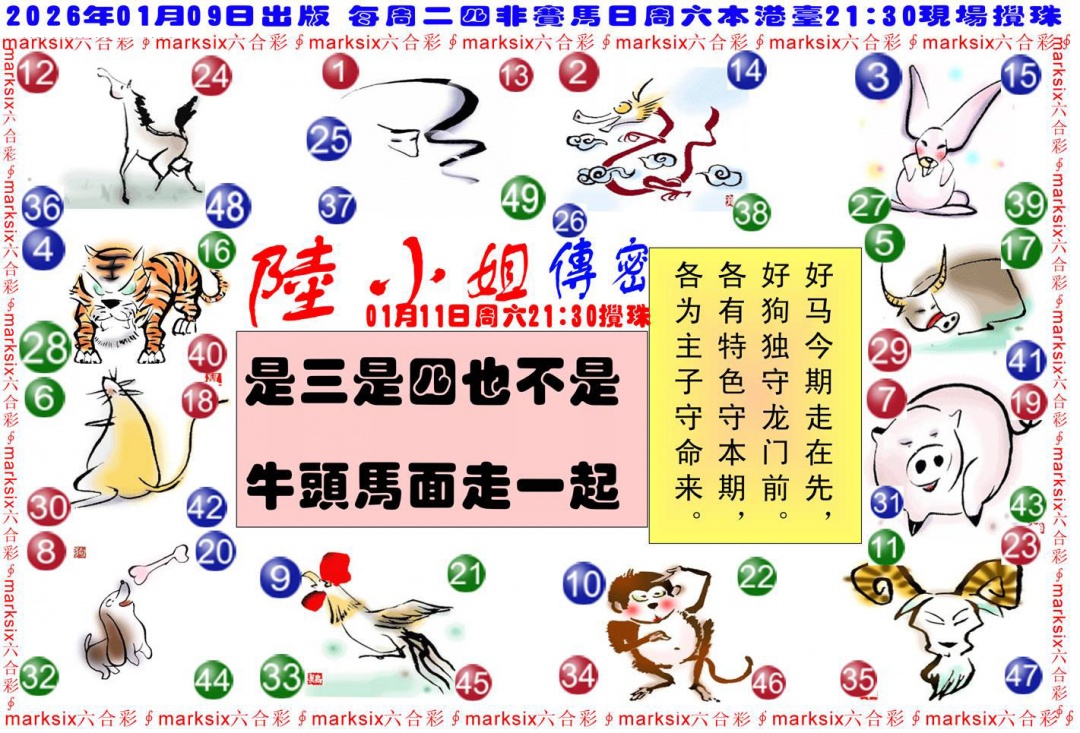 004期陆小姐传密B[图]