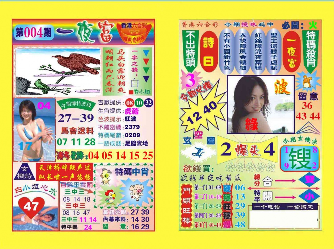 004期一夜富[图]