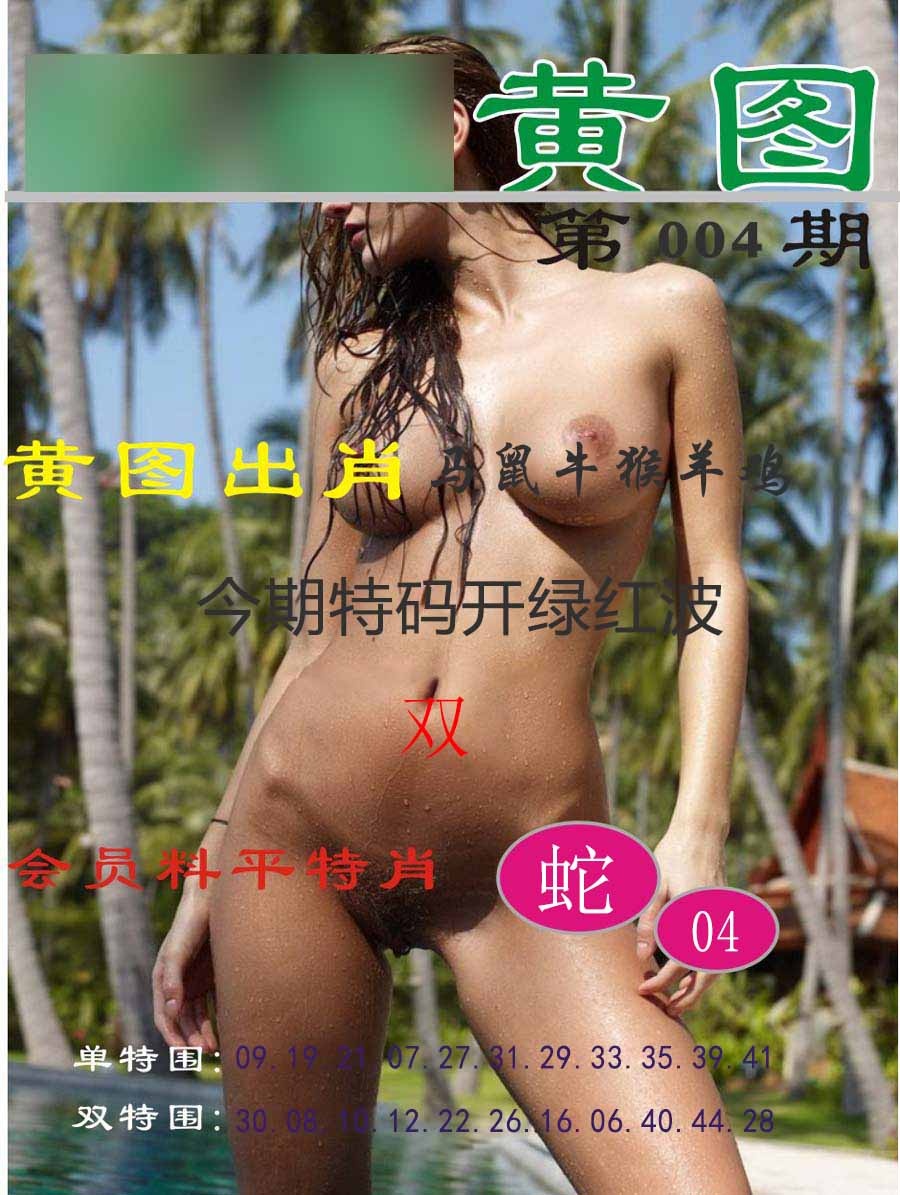 004期黄图[图]