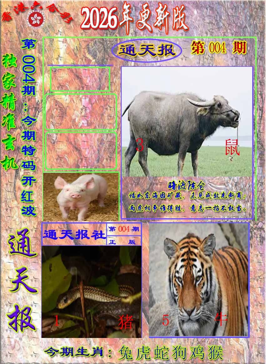 004期新通报[图]