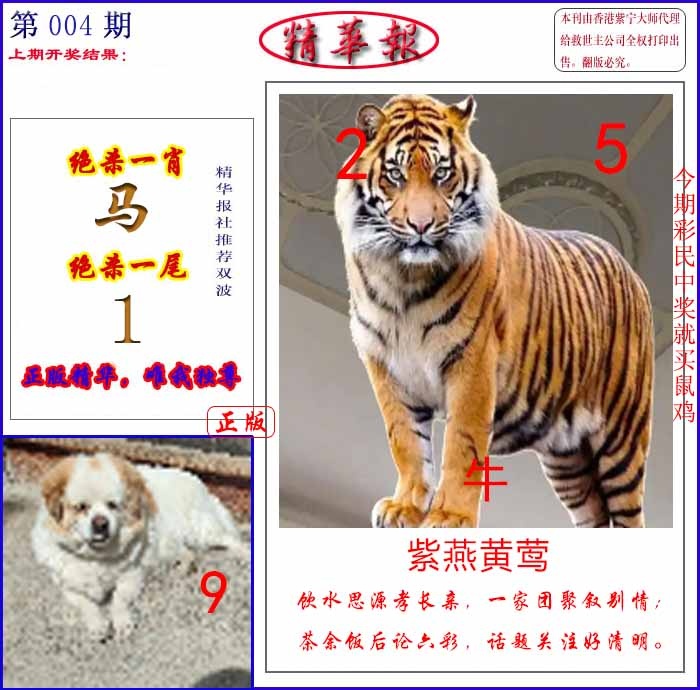004期新精华报报[图]
