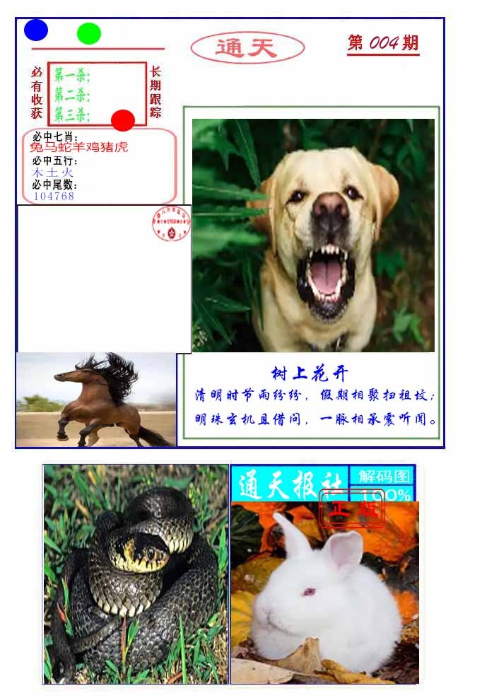 004期通天杀波图2[图]