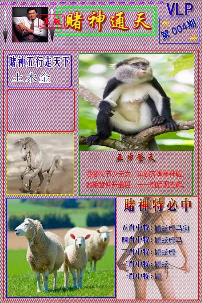 004期赌神通天报[图]
