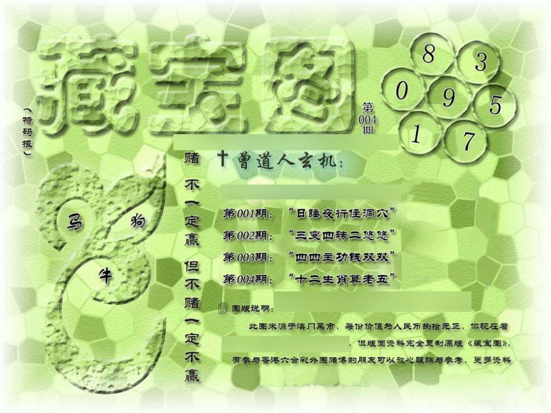 004期假新藏宝图[图]