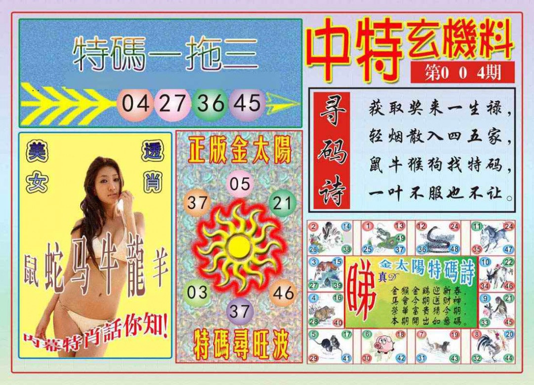 004期中特玄机料[图]