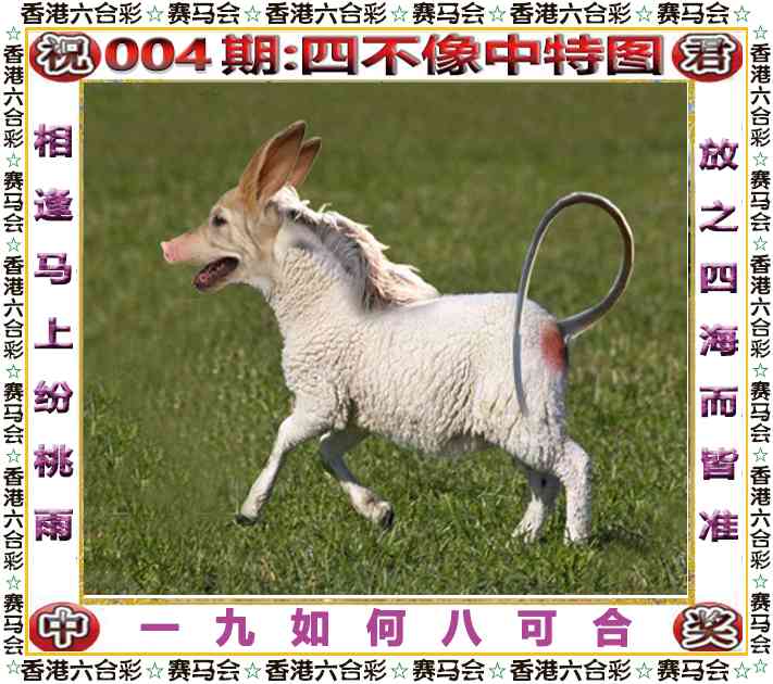 004期四不像中特图[图]
