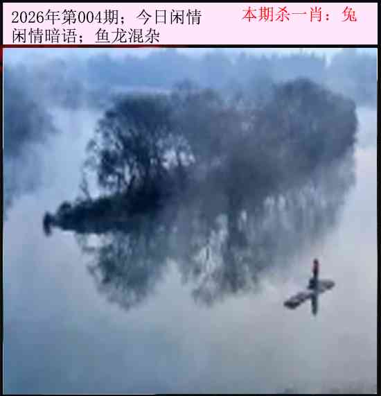 004期今日闲情[图]