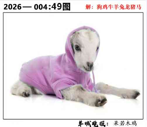 004期49图[图]