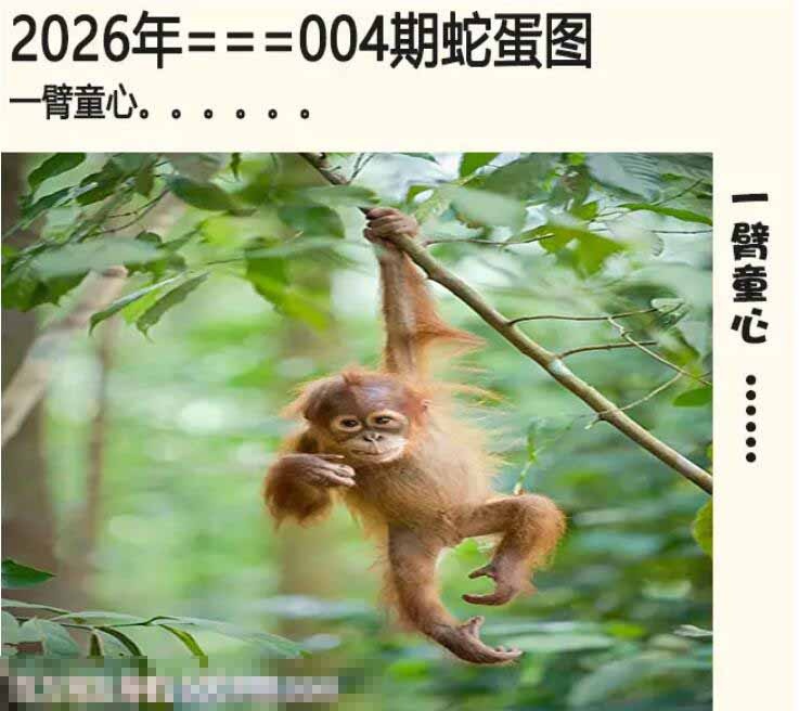 004期另版蛇蛋图[图]